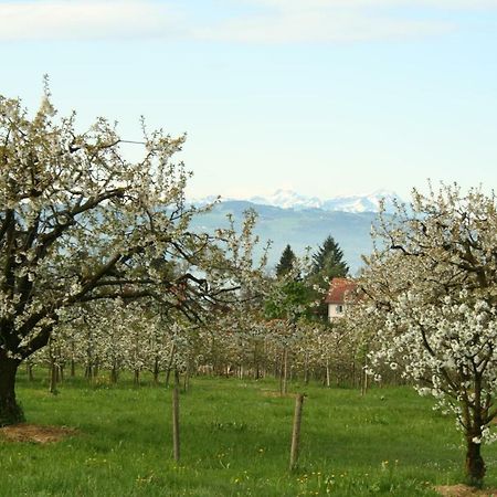 Villa Linke Am Bodensee นอนเนนฮอร์น ภายนอก รูปภาพ